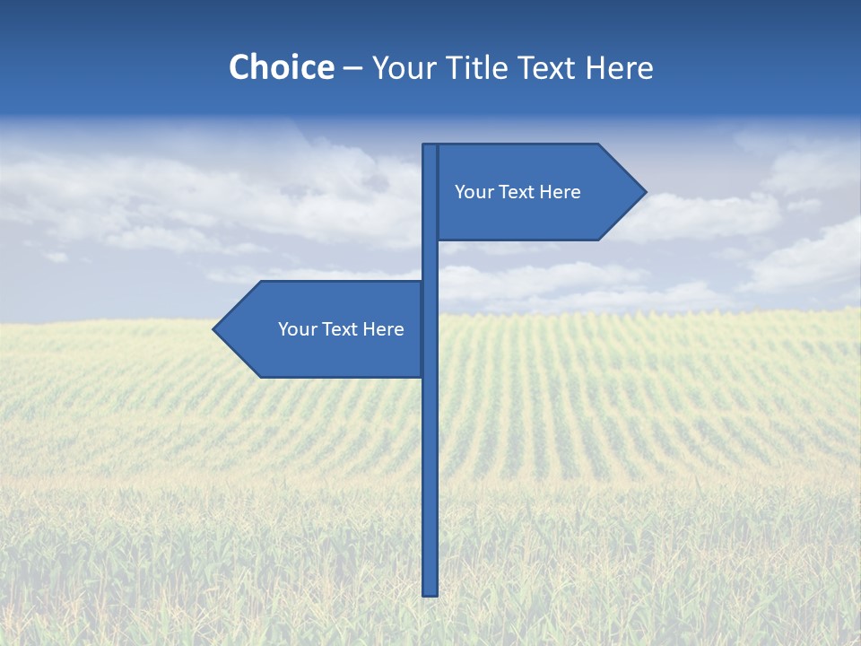 Corn Field PowerPoint Template