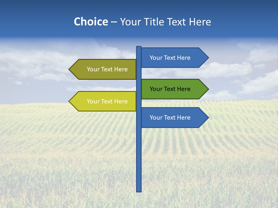 Corn Field PowerPoint Template