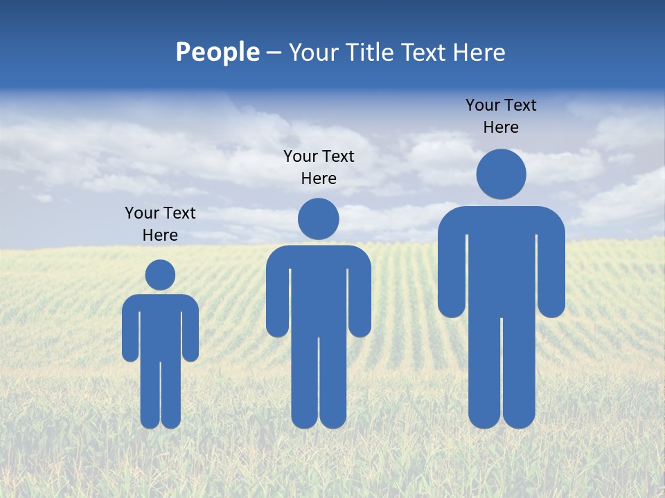 Corn Field PowerPoint Template