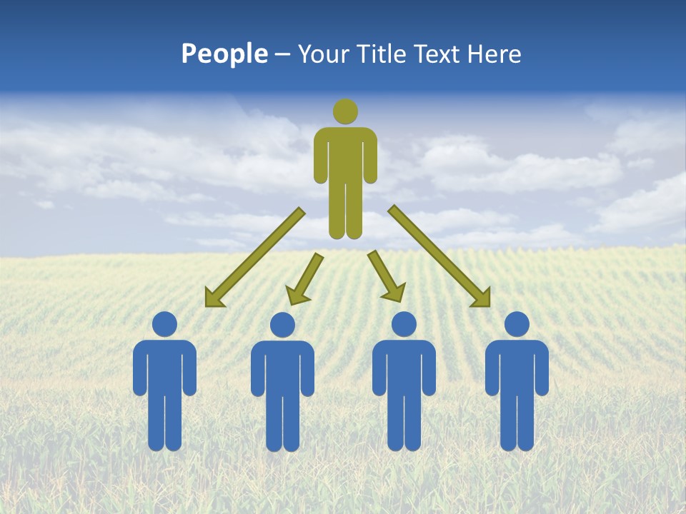 Corn Field PowerPoint Template