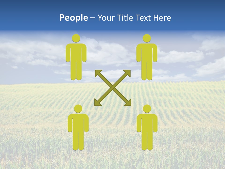 Corn Field PowerPoint Template