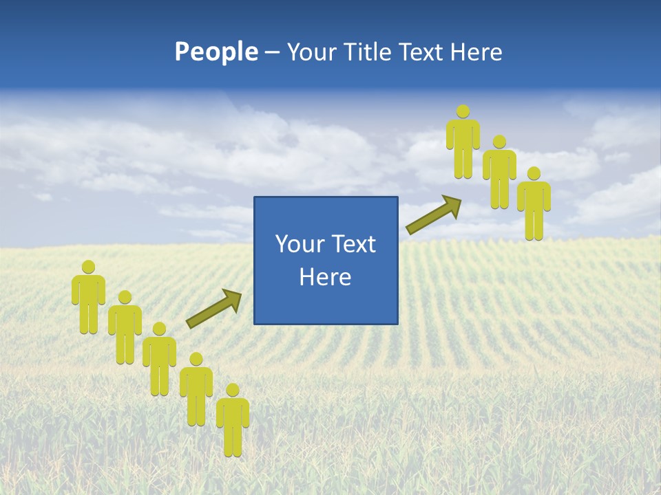 Corn Field PowerPoint Template