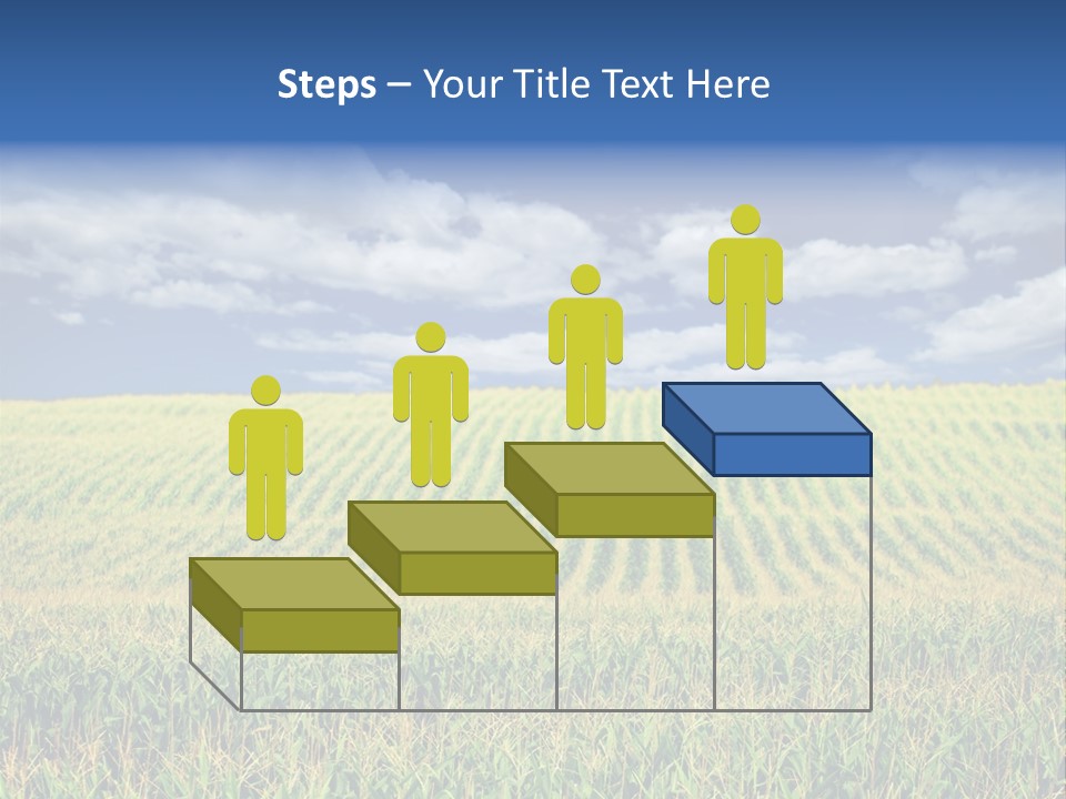 Corn Field PowerPoint Template
