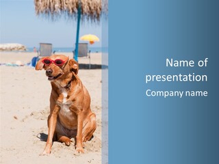 Sand Humor Tropical PowerPoint Template