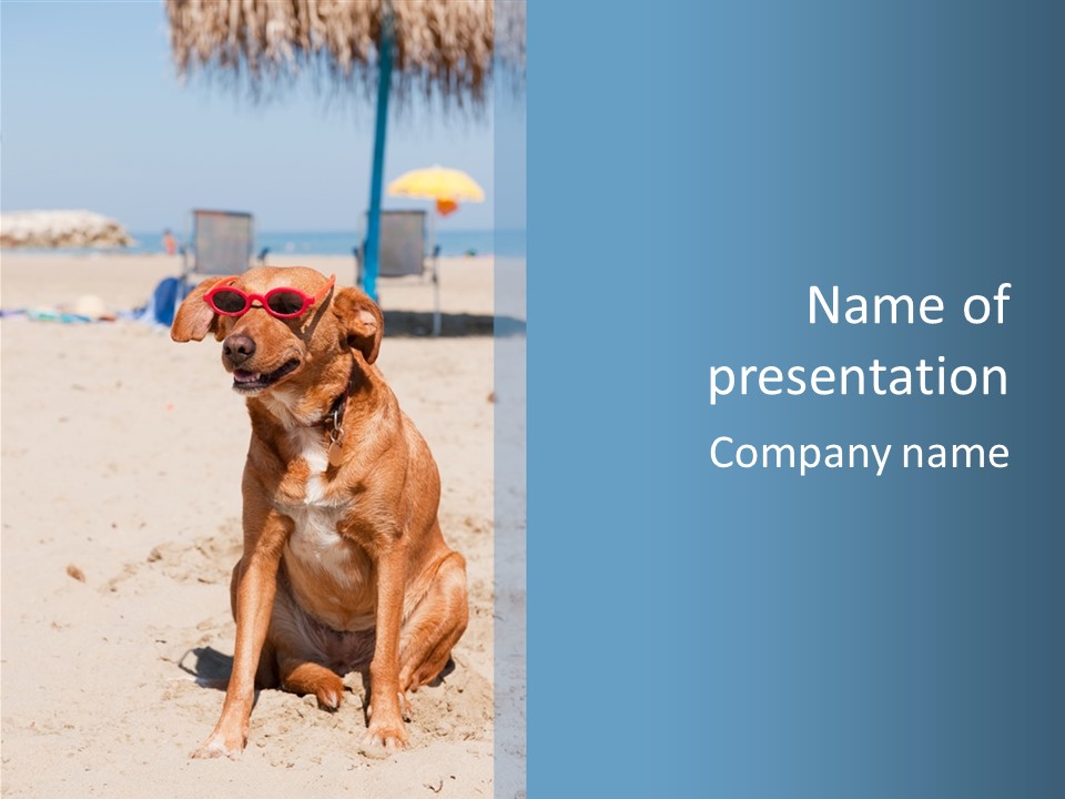 Sand Humor Tropical PowerPoint Template