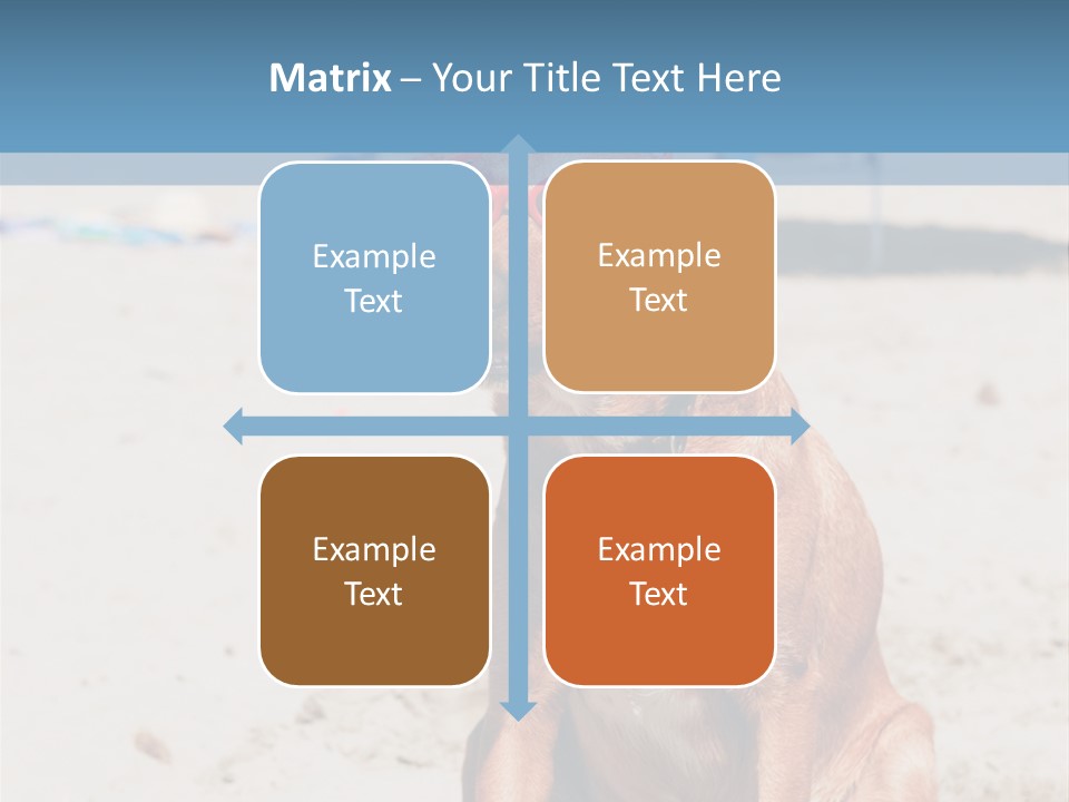 Sand Humor Tropical PowerPoint Template