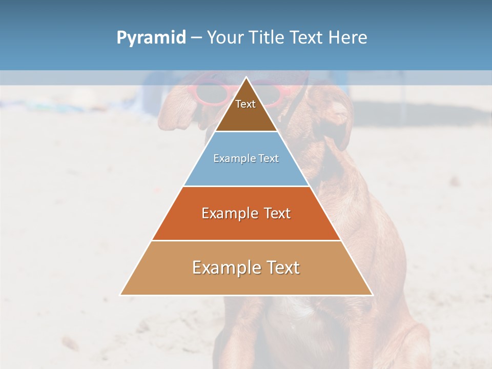 Sand Humor Tropical PowerPoint Template