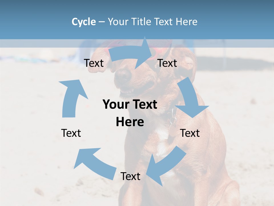 Sand Humor Tropical PowerPoint Template