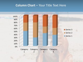 Sand Humor Tropical PowerPoint Template