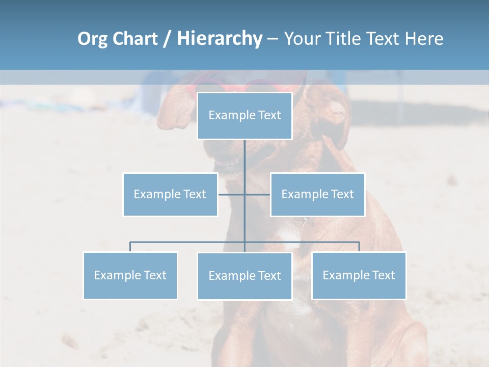 Sand Humor Tropical PowerPoint Template
