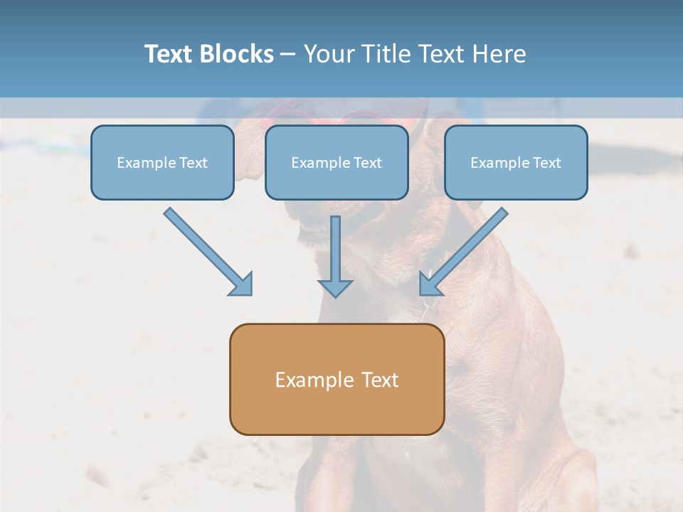 Sand Humor Tropical PowerPoint Template