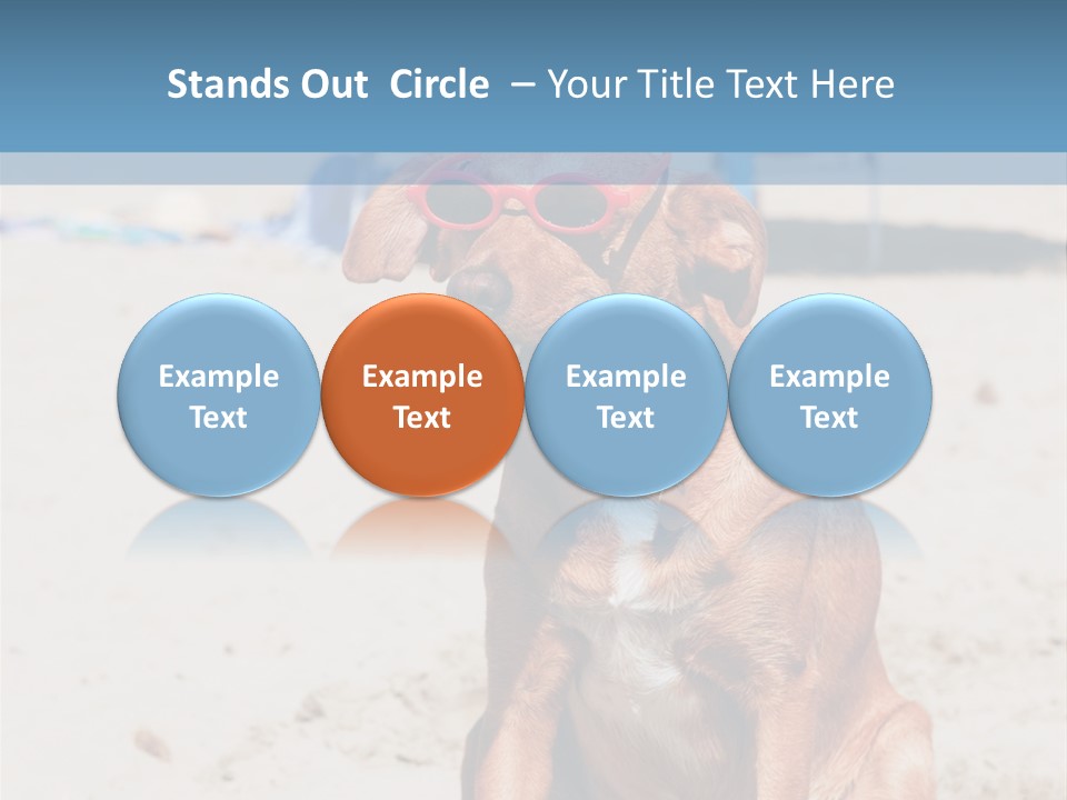 Sand Humor Tropical PowerPoint Template