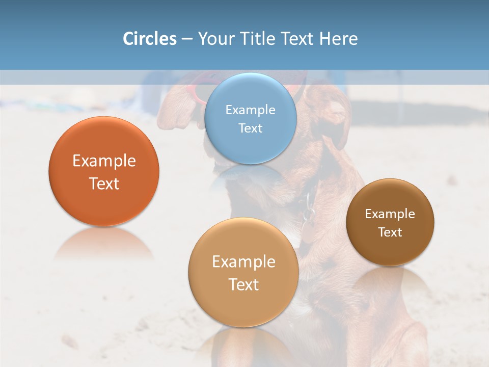 Sand Humor Tropical PowerPoint Template