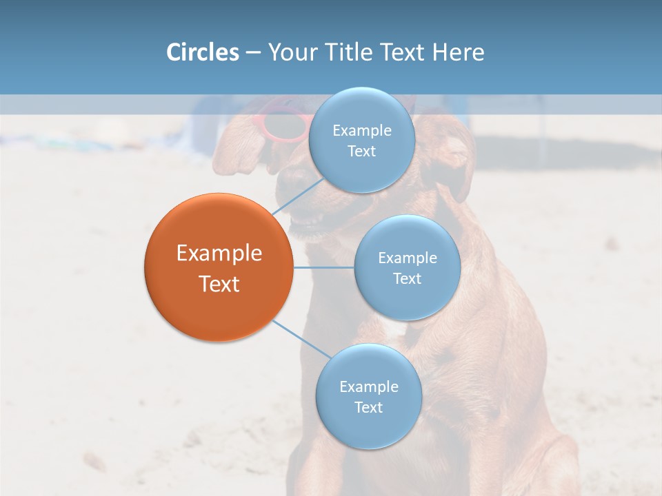 Sand Humor Tropical PowerPoint Template