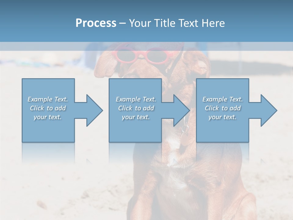 Sand Humor Tropical PowerPoint Template