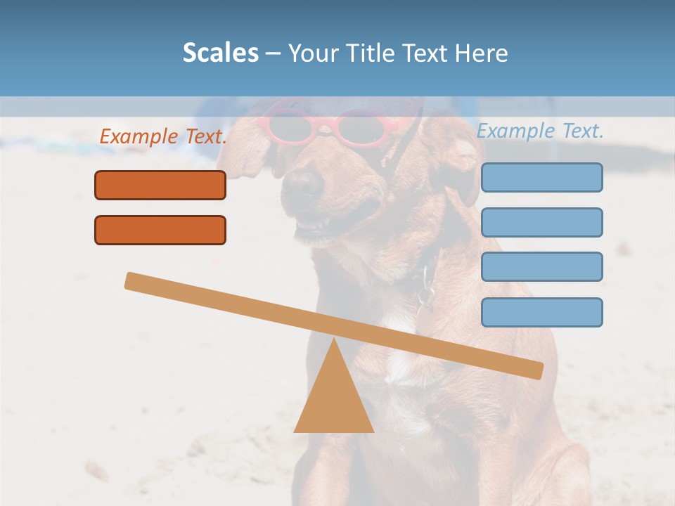 Sand Humor Tropical PowerPoint Template