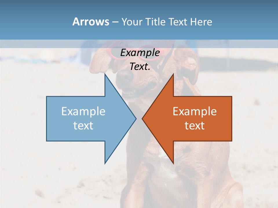 Sand Humor Tropical PowerPoint Template