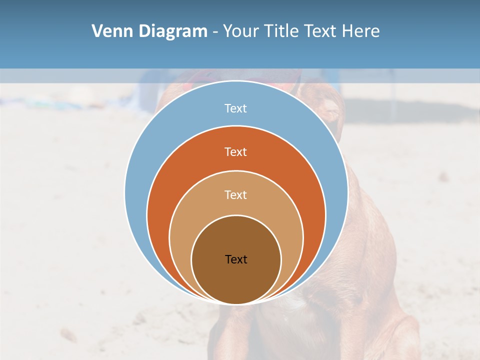 Sand Humor Tropical PowerPoint Template