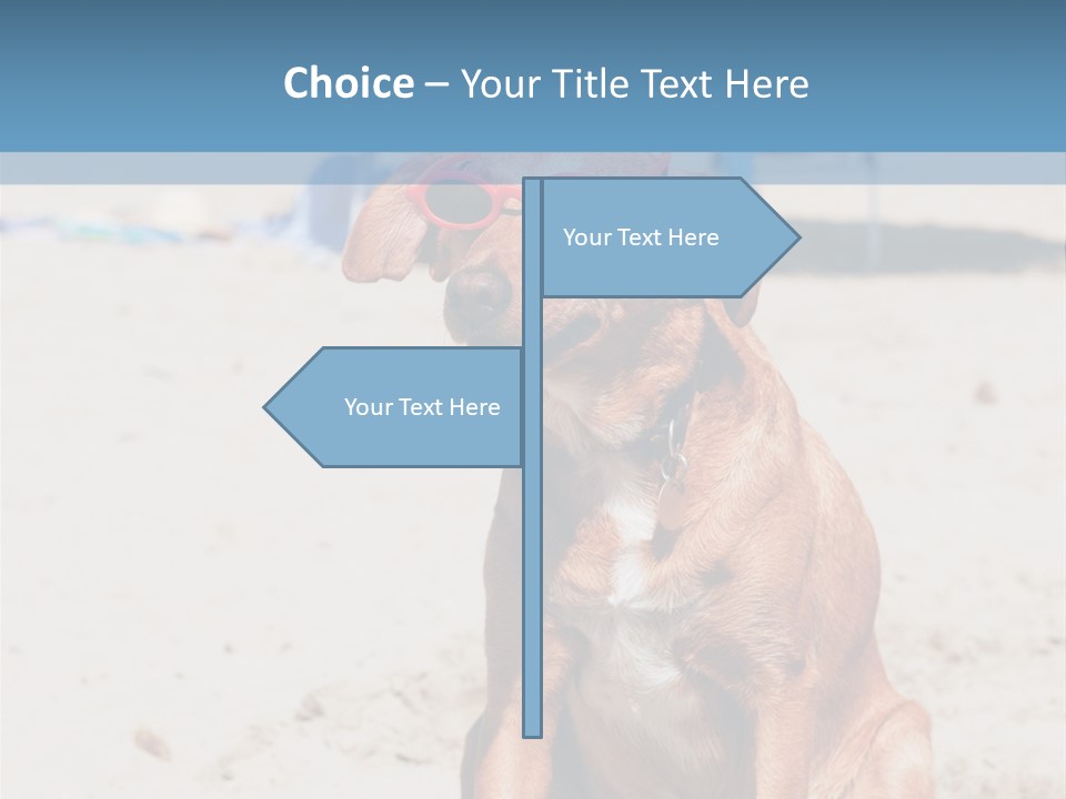 Sand Humor Tropical PowerPoint Template