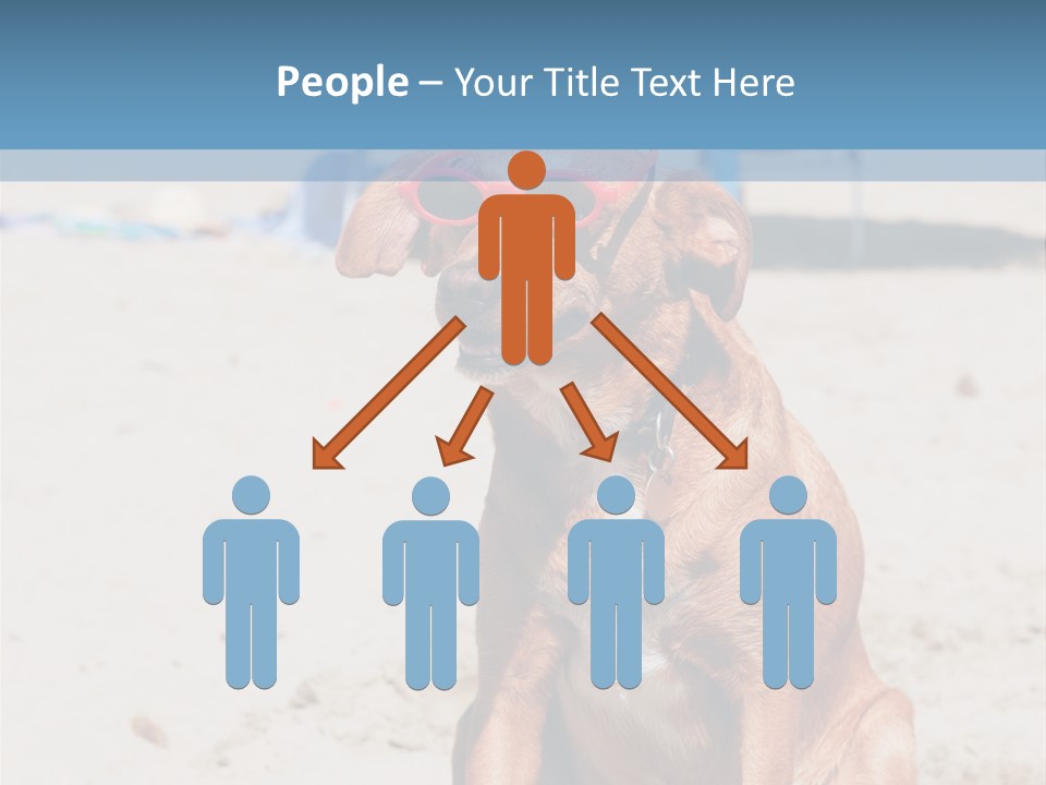 Sand Humor Tropical PowerPoint Template
