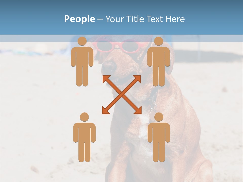 Sand Humor Tropical PowerPoint Template