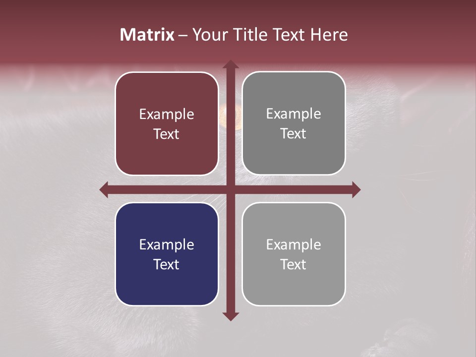 British Cat PowerPoint Template