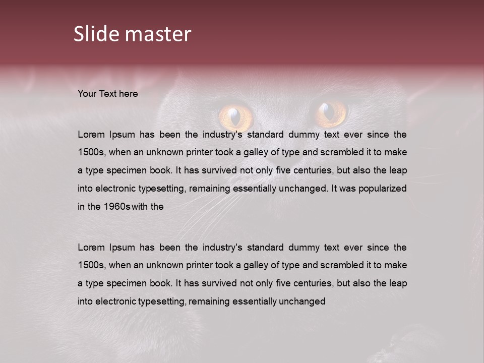 British Cat PowerPoint Template