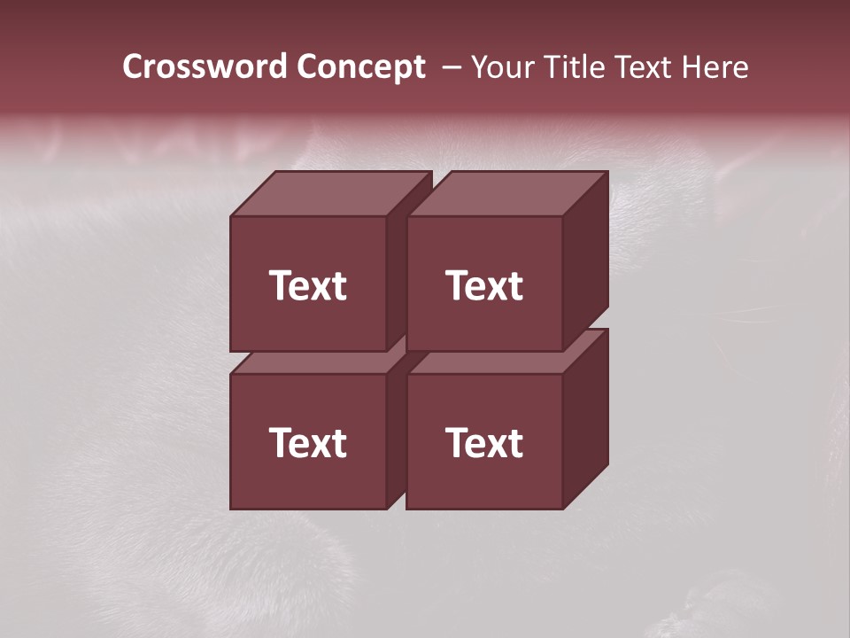 British Cat PowerPoint Template