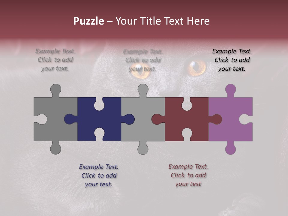 British Cat PowerPoint Template