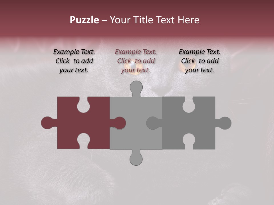 British Cat PowerPoint Template