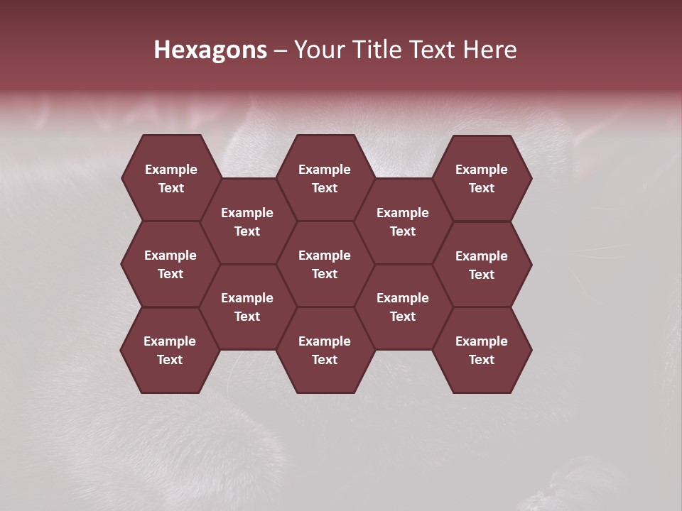 British Cat PowerPoint Template