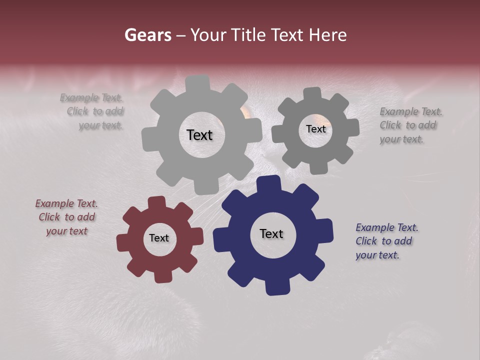 British Cat PowerPoint Template