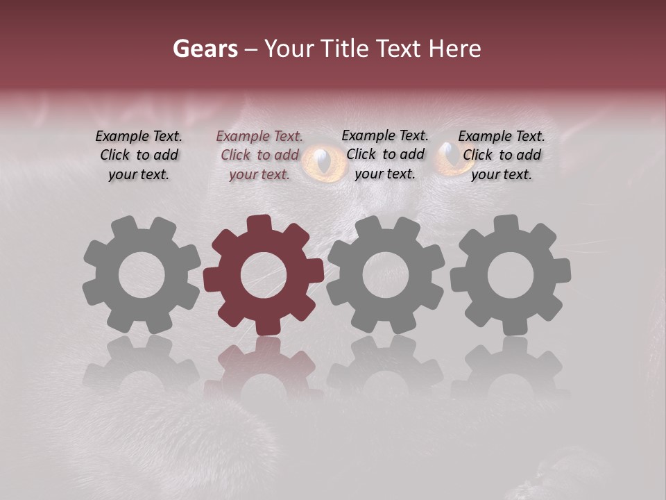 British Cat PowerPoint Template