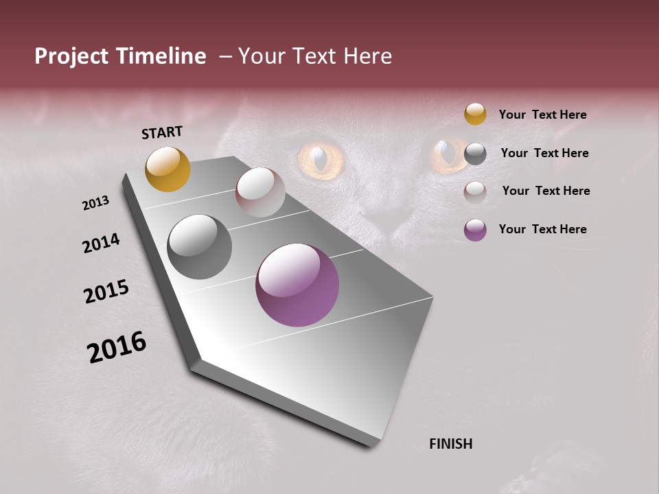 British Cat PowerPoint Template