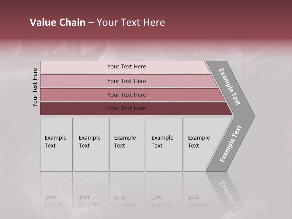 British Cat PowerPoint Template