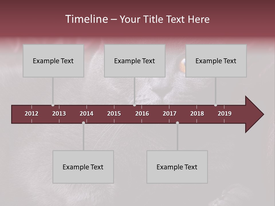 British Cat PowerPoint Template