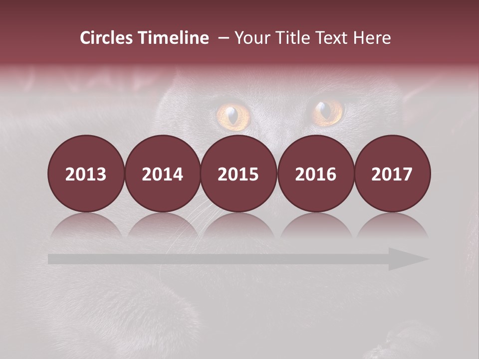 British Cat PowerPoint Template