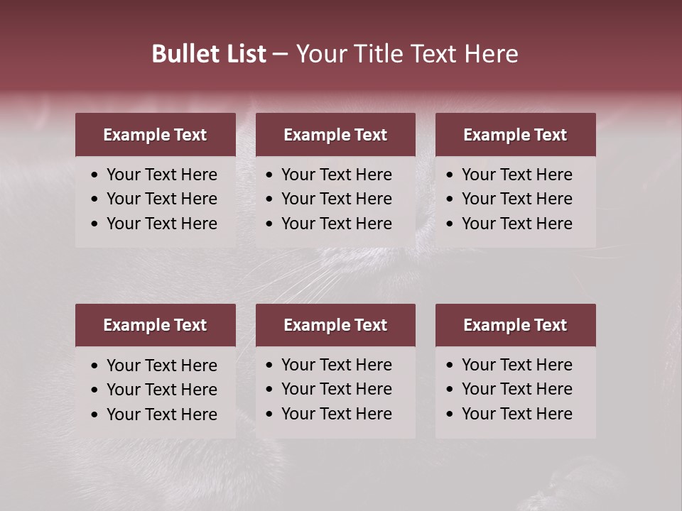 British Cat PowerPoint Template