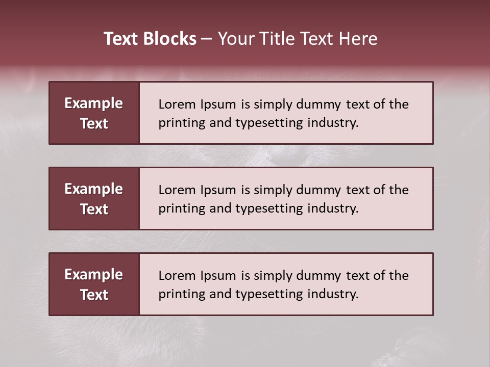 British Cat PowerPoint Template