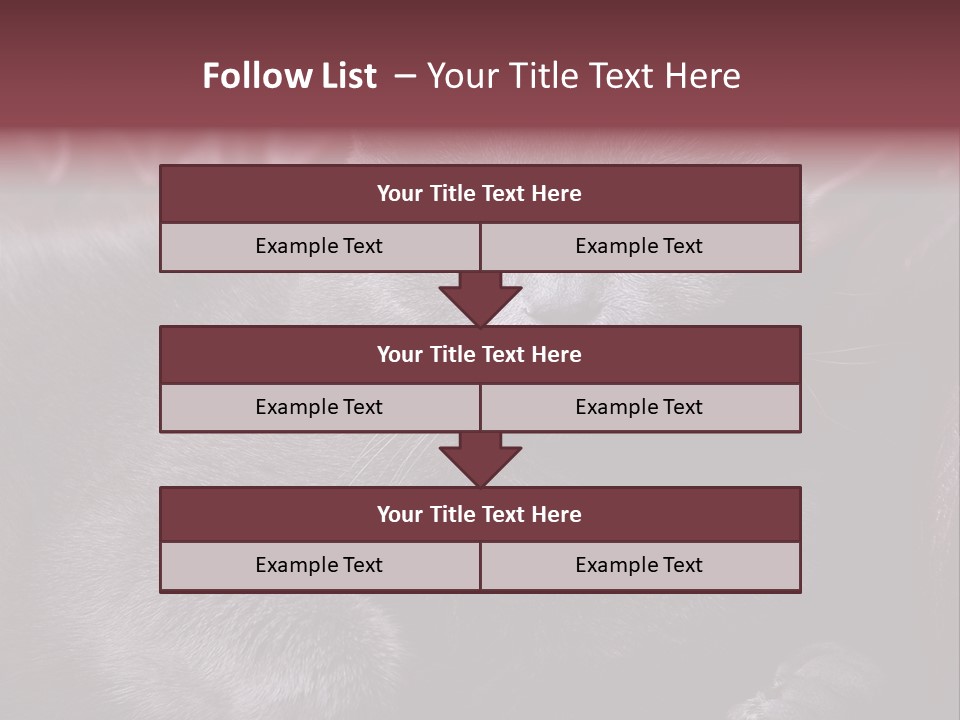British Cat PowerPoint Template