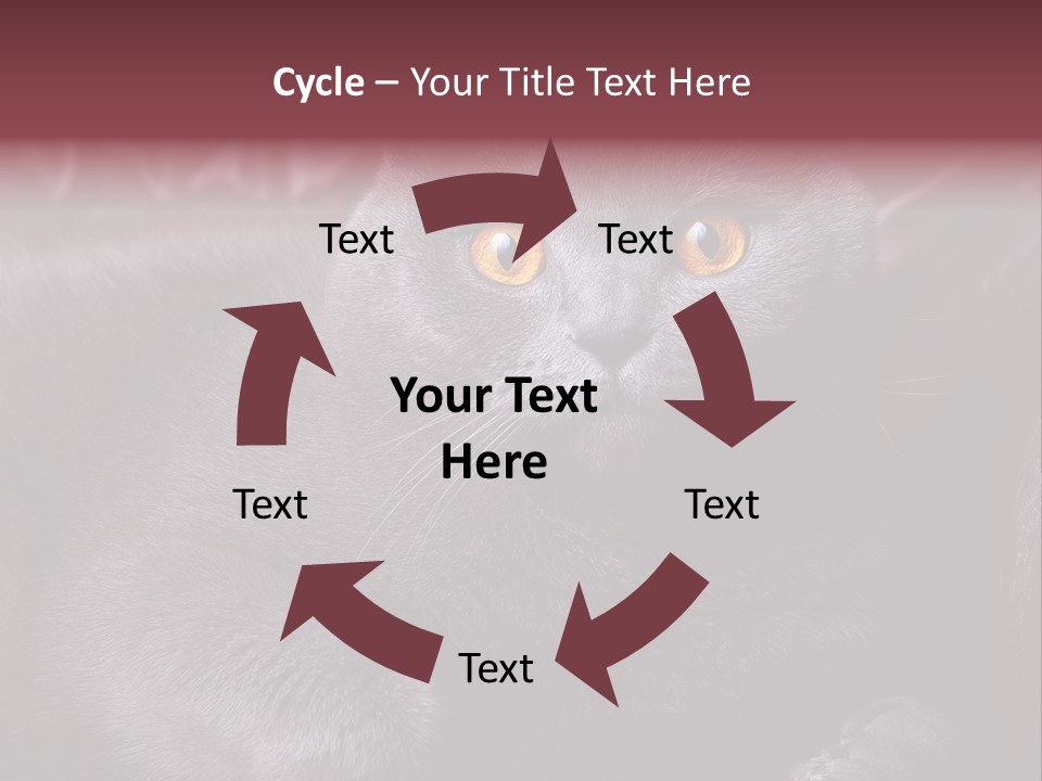 British Cat PowerPoint Template