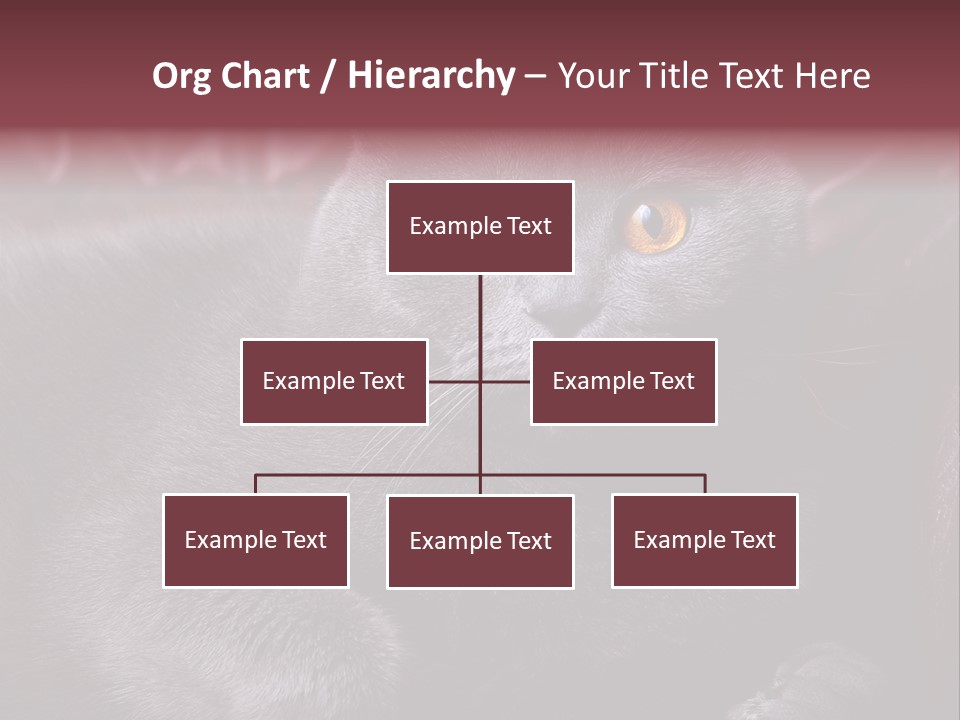 British Cat PowerPoint Template