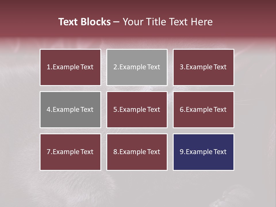 British Cat PowerPoint Template