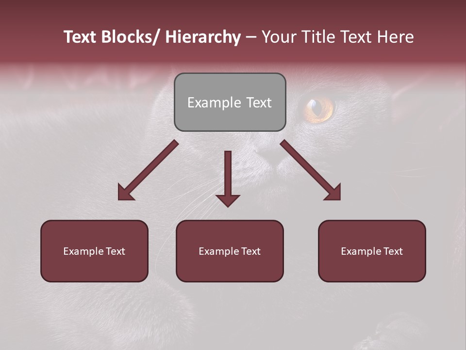 British Cat PowerPoint Template