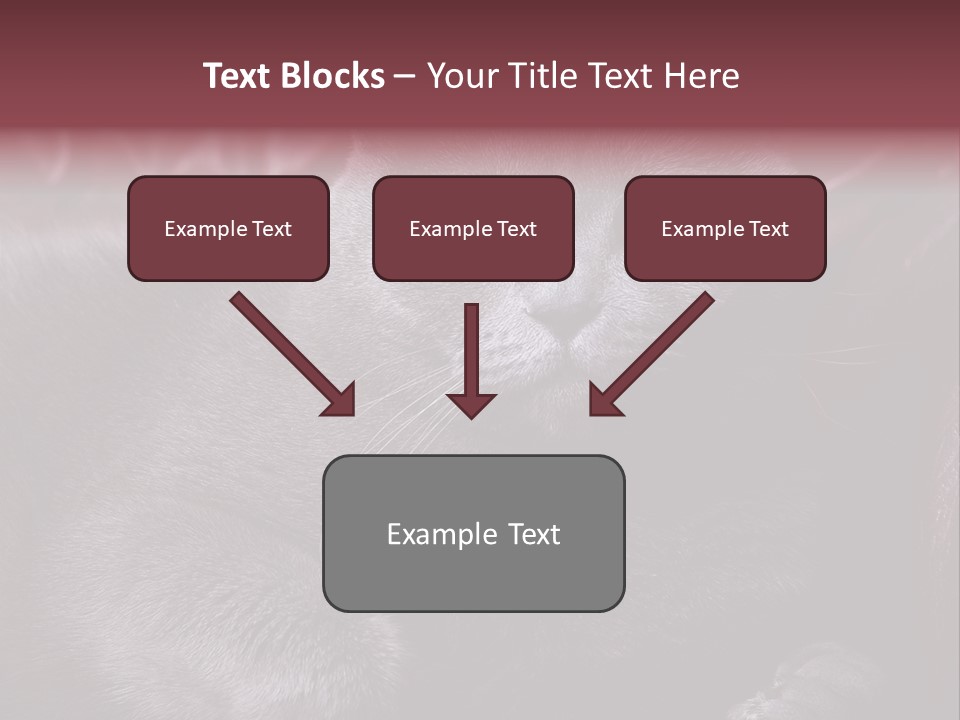 British Cat PowerPoint Template
