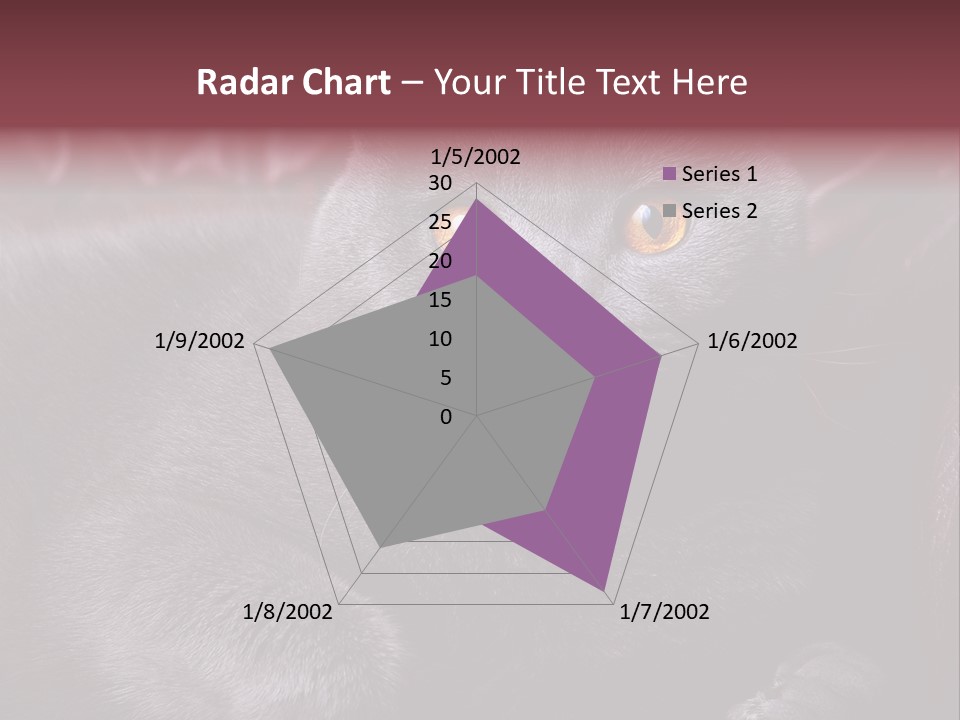 British Cat PowerPoint Template