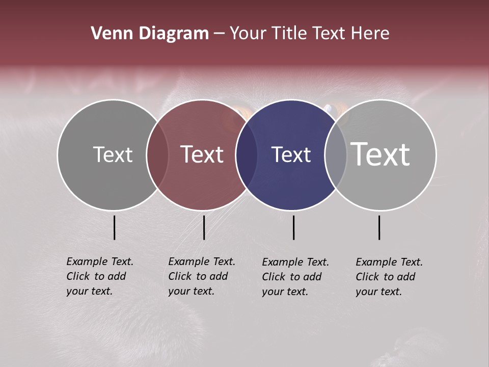 British Cat PowerPoint Template