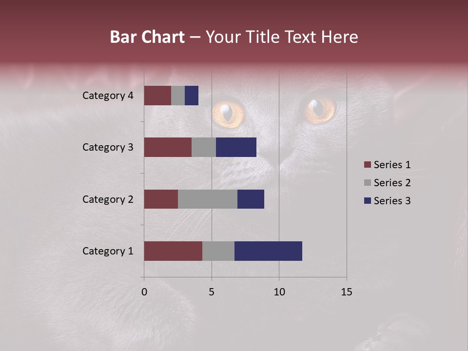 British Cat PowerPoint Template