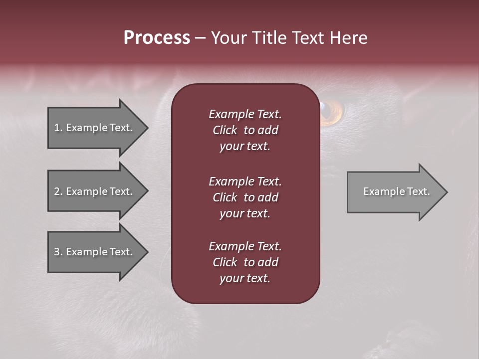 British Cat PowerPoint Template