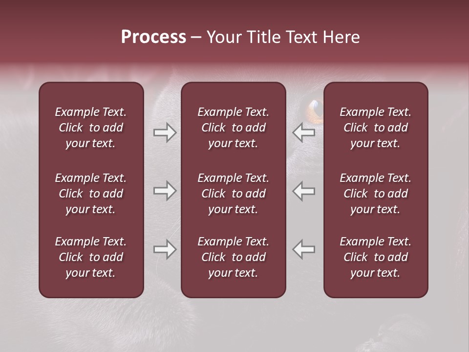 British Cat PowerPoint Template